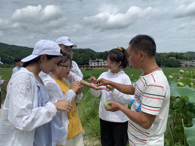 隊員參觀蓮子生產(chǎn)基地。福建船政交通職業(yè)學院供圖