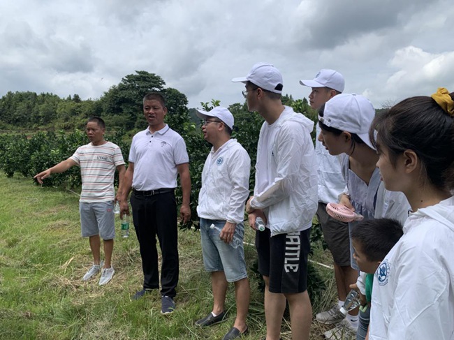 實踐隊在村主任伍玉炎帶領(lǐng)下參觀贛南臍橙種植園。福建船政交通職業(yè)學院供圖